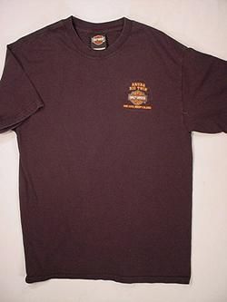HARLEY DAVIDSON Aruba Big Twin T Shirt (Mens Medium)  
