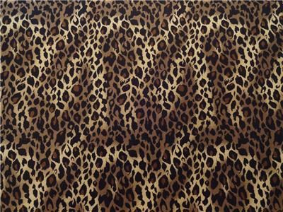New Cheetah or Leopard Big Cat Skin Animal Print Large Wild Jungle 