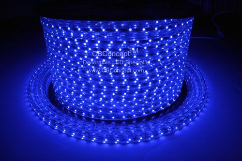 Blue 120 Volt LED SMD3528 Strip Rope Light  Waterproof  Custom Cut 